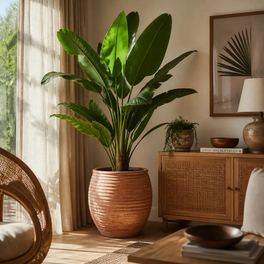Biophilic Design on a Budget: Easy Ways to Bring Nature Indoors Without Real Plants