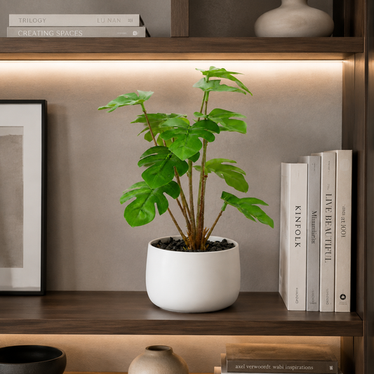 Realistic faux Monstera plant for low-light room and apartment decor