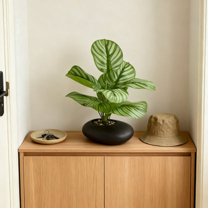 Premium Faux Anthurium Clarinervium - Realistic Velvet-Look Artificial Heart-Leaf Plant for Modern Desk & Coffee Table Styling