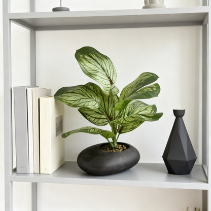 Lifelike Faux Calathea Plant, Artificial Peacock Greenery for Home Office Tabletop & Living Room Shelf Decor,  Fake Calathea Stem