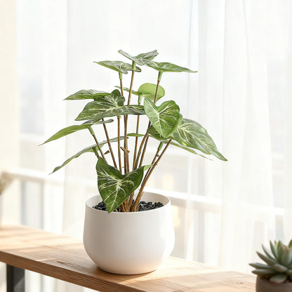 Faux Horseshoe  Leaves Potted Plant - 7" Real Touch Artificial Greenery in White Ceramic Pot for Desk, Modern Home & Office Decor