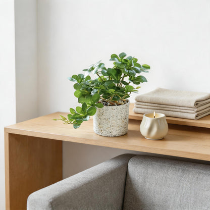 potted artificial hanging bell greenery - dark green hanging styled on a wooden sideboard in a modern home