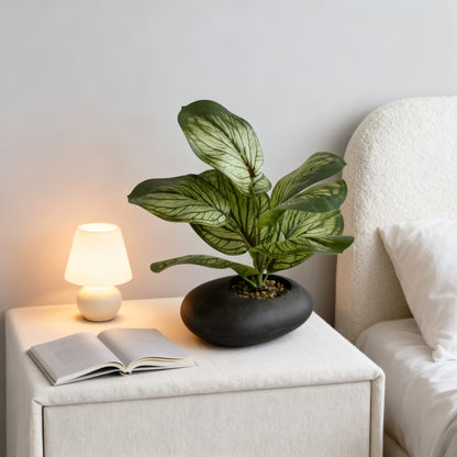 Lifelike Faux Calathea Plant, Artificial Peacock Greenery for Home Office Tabletop & Living Room Shelf Decor,  Fake Calathea Stem