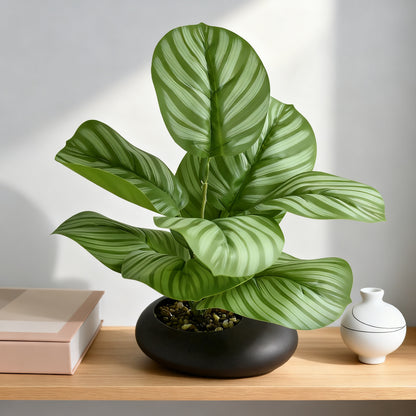 Premium Faux Anthurium Clarinervium - Realistic Velvet-Look Artificial Heart-Leaf Plant for Modern Desk & Coffee Table Styling