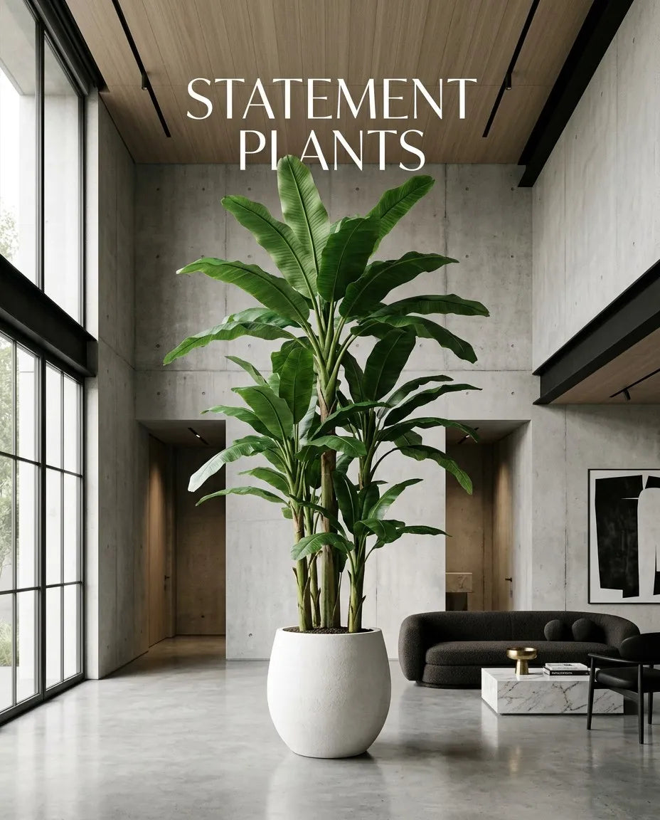 Category Statement