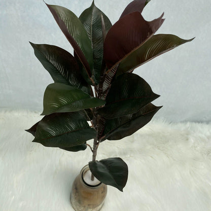 Artificial Rubber Tree and Fiddle Leaf Fig Stems - Rubber Tree - Item 1