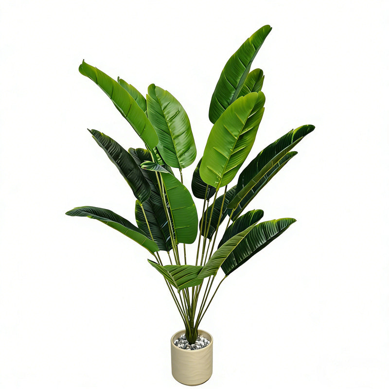 Studio shot of an 18 leaf artificial banana tree with real touch foliage on a plain white background for size reference