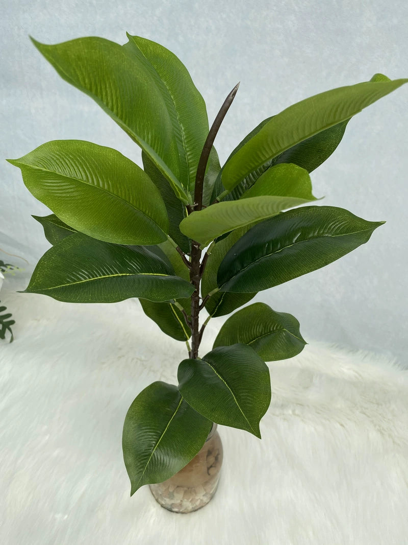 Artificial Rubber Tree and Fiddle Leaf Fig Stems - Rubber Tree - Item 6