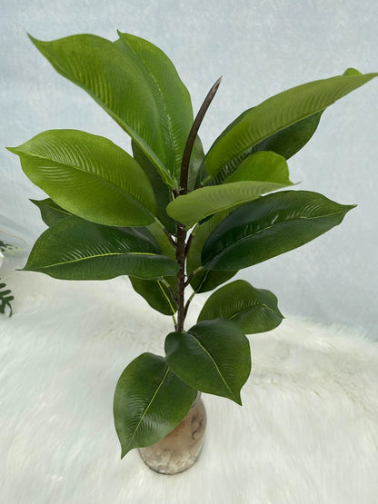 Artificial Rubber Tree and Fiddle Leaf Fig Stems - Rubber Tree - Item 6