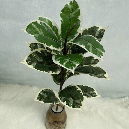 Artificial Rubber Tree and Fiddle Leaf Fig Stems - Rubber Tree - Item 3