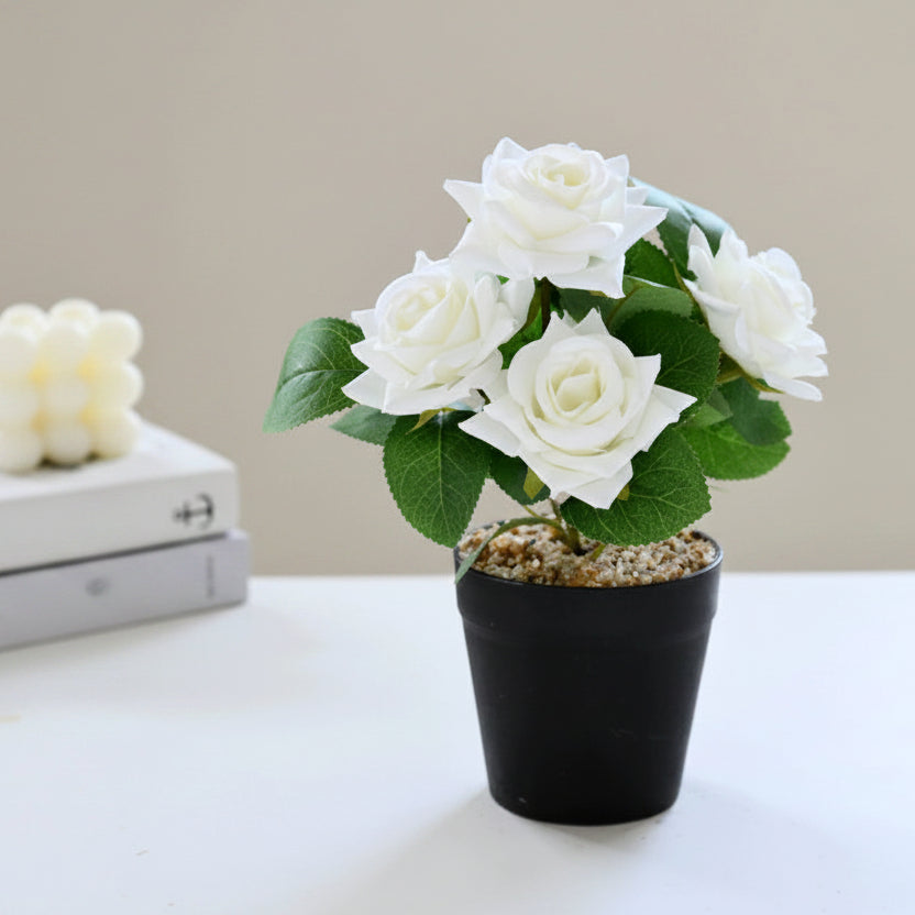 Mini Potted Artificial Tea Rose Flowers - 2026871-White(Plastic Pot)