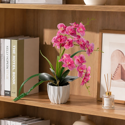 Real Touch Pink Mini Artificial Orchid in Ceramic Pot –  Approximately 15 inches Potted Faux Phalaenopsis Flower Arrangement for  Living Room
