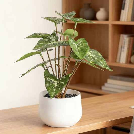 Faux Horseshoe  Leaves Potted Plant - 7" Real Touch Artificial Greenery in White Ceramic Pot for Desk, Modern Home & Office Decor