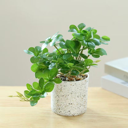 potted artificial hanging bell greenery - dark green hanging shown in a styled entryway with natural light